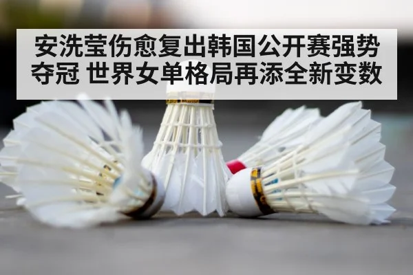 badminton shuttlecock court
